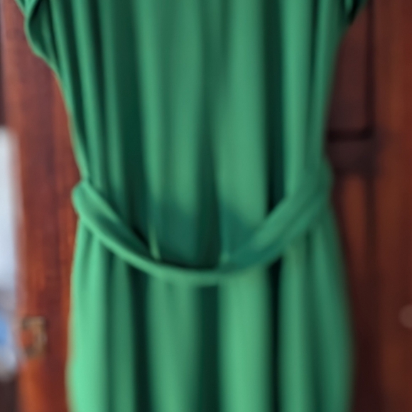 Universal Standard Green Sheath Maxi Dress with Dolman Sleeves - Picture 7 of 7